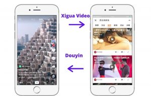Xigua VideoVS Douyin