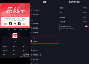 Douyin interoperation